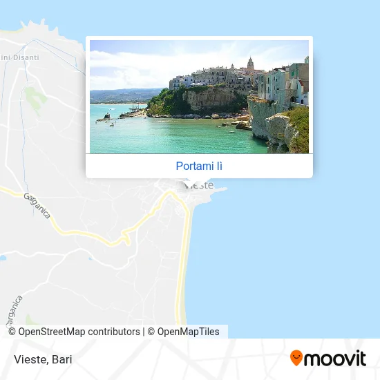 Mappa Vieste