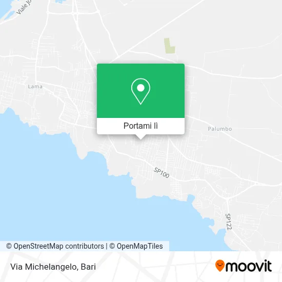 Mappa Via Michelangelo