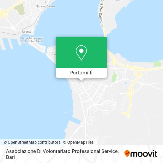 Mappa Associazione Di Volontariato Professional Service