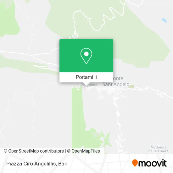 Mappa Piazza Ciro Angelillis