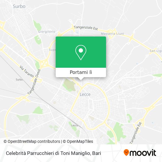 Mappa Celebrità Parrucchieri di Toni Maniglio