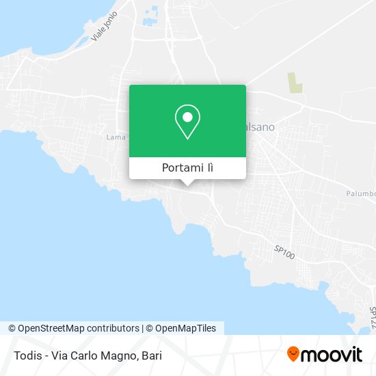 Mappa Todis - Via Carlo Magno