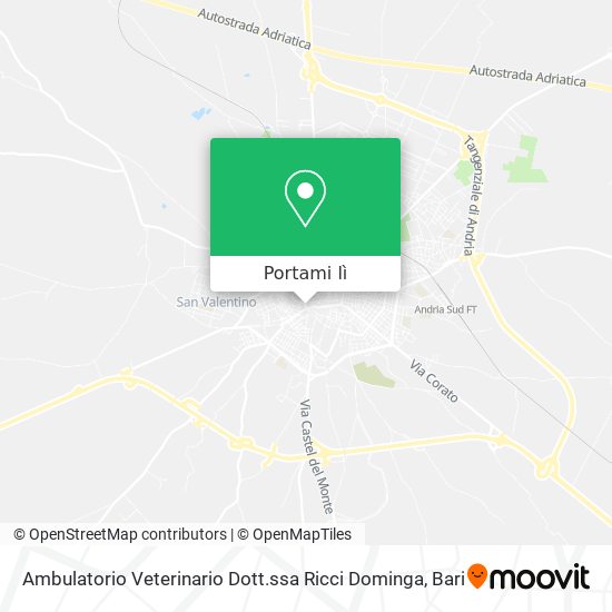 Mappa Ambulatorio Veterinario Dott.ssa Ricci Dominga
