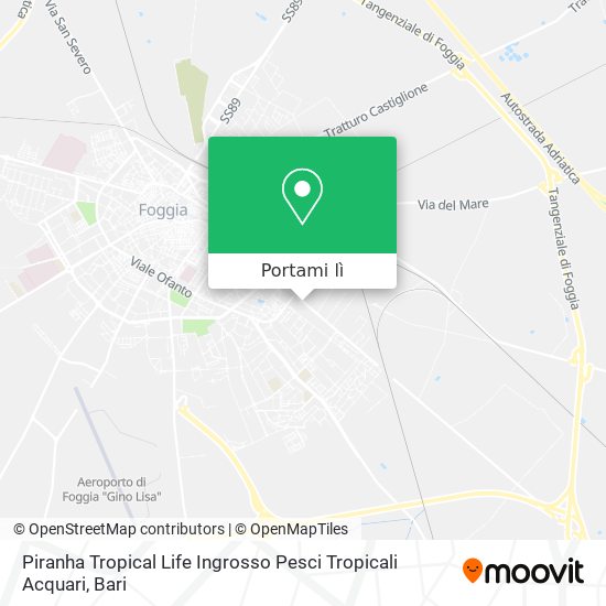 Mappa Piranha Tropical Life Ingrosso Pesci Tropicali Acquari