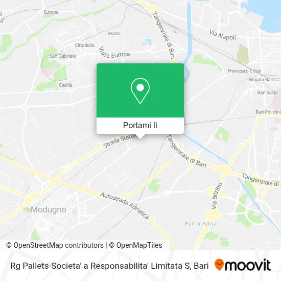 Mappa Rg Pallets-Societa' a Responsabilita' Limitata S
