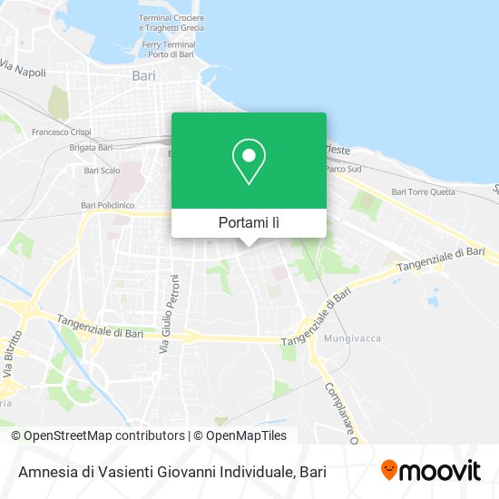 Mappa Amnesia di Vasienti Giovanni Individuale