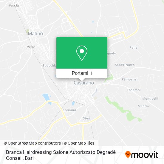 Mappa Branca Hairdressing Salone Autorizzato Degradé Conseil