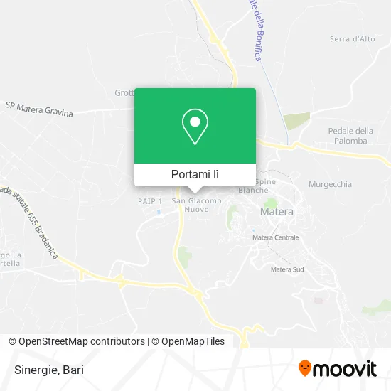 Mappa Sinergie