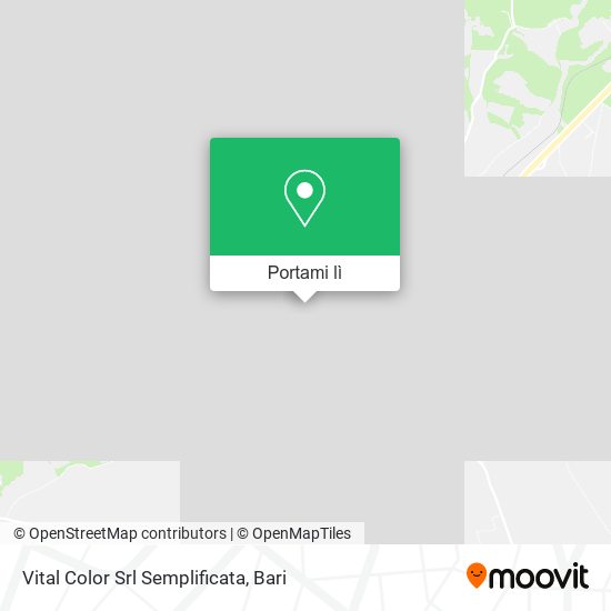 Mappa Vital Color Srl Semplificata