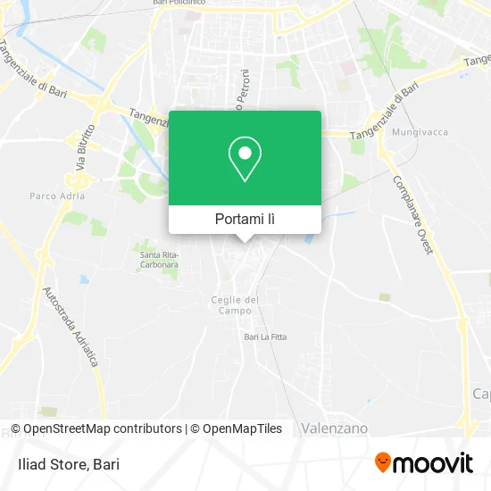 Mappa Iliad Store