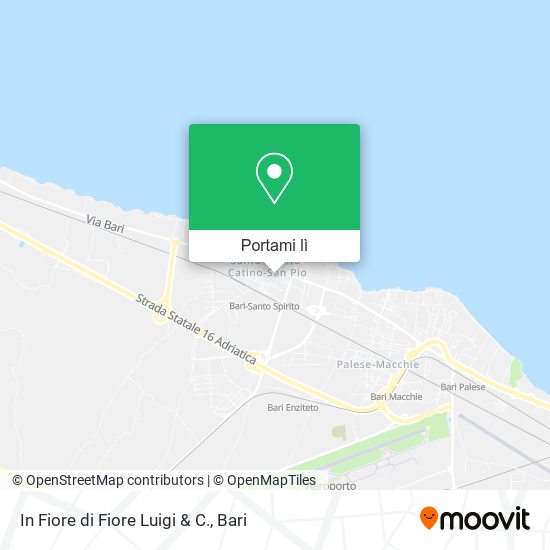 Mappa In Fiore di Fiore Luigi & C.