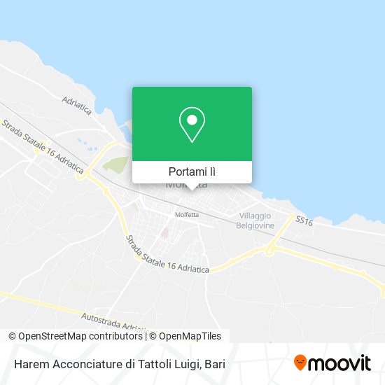 Mappa Harem Acconciature di Tattoli Luigi