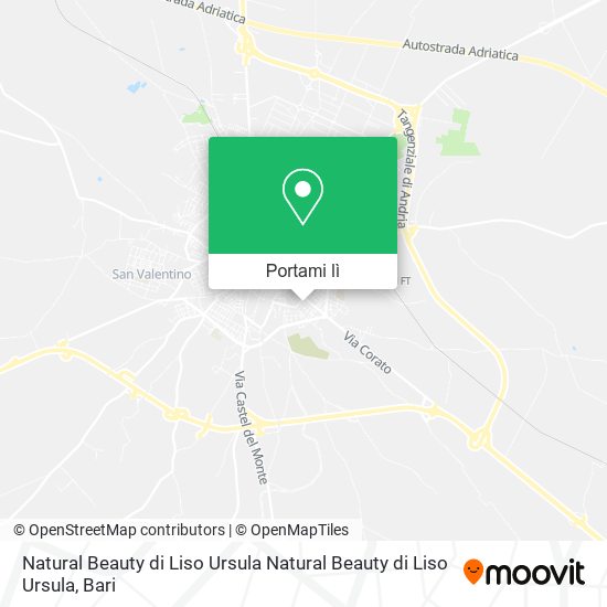 Mappa Natural Beauty di Liso Ursula Natural Beauty di Liso Ursula