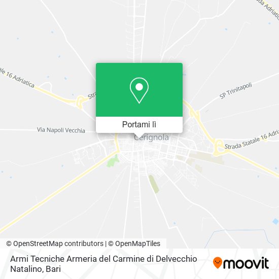 Mappa Armi Tecniche Armeria del Carmine di Delvecchio Natalino