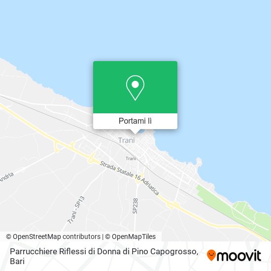 Mappa Parrucchiere Riflessi di Donna di Pino Capogrosso