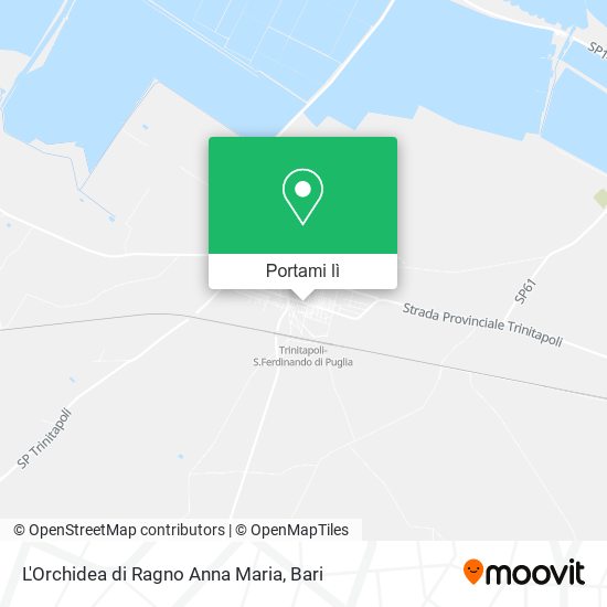 Mappa L'Orchidea di Ragno Anna Maria
