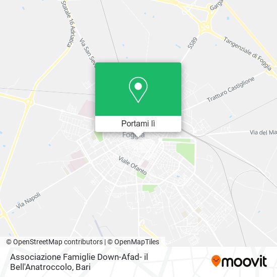 Mappa Associazione Famiglie Down-Afad- il Bell'Anatroccolo