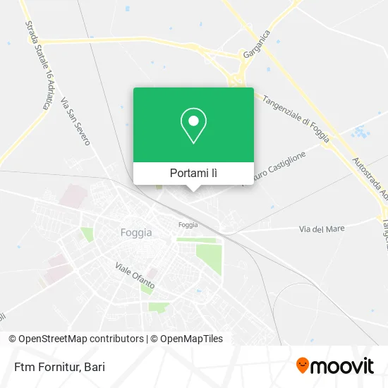 Mappa Ftm Fornitur