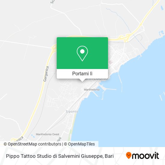 Mappa Pippo Tattoo Studio di Salvemini Giuseppe