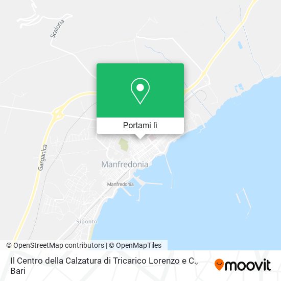 Mappa Il Centro della Calzatura di Tricarico Lorenzo e C.