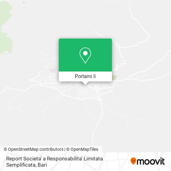 Mappa Report Societa' a Responsabilita' Limitata Semplificata
