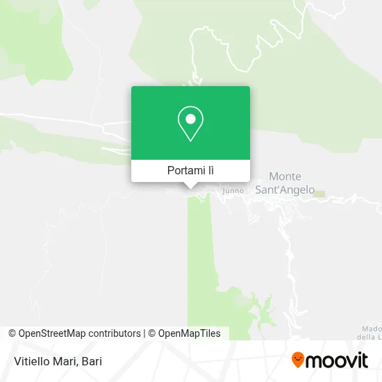 Mappa Vitiello Mari