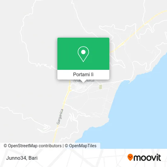 Mappa Junno34