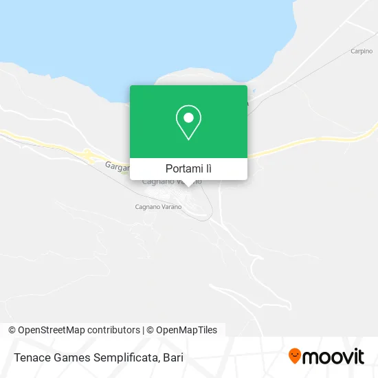 Mappa Tenace Games Semplificata
