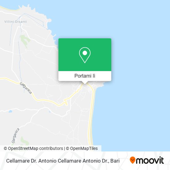 Mappa Cellamare Dr. Antonio Cellamare Antonio Dr.