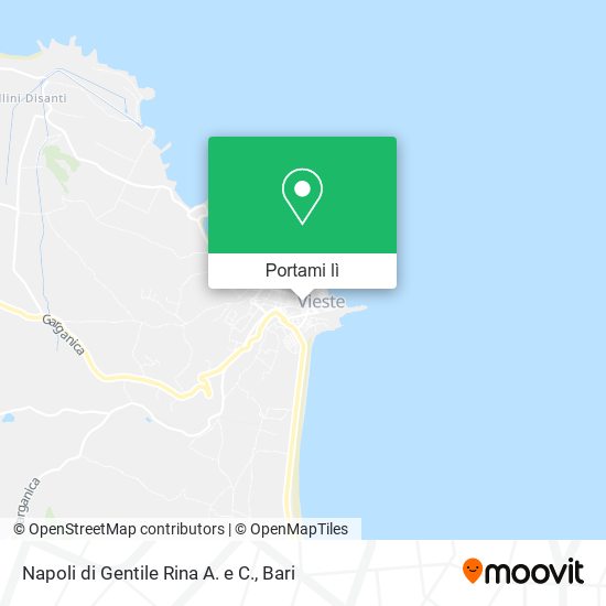 Mappa Napoli di Gentile Rina A. e C.
