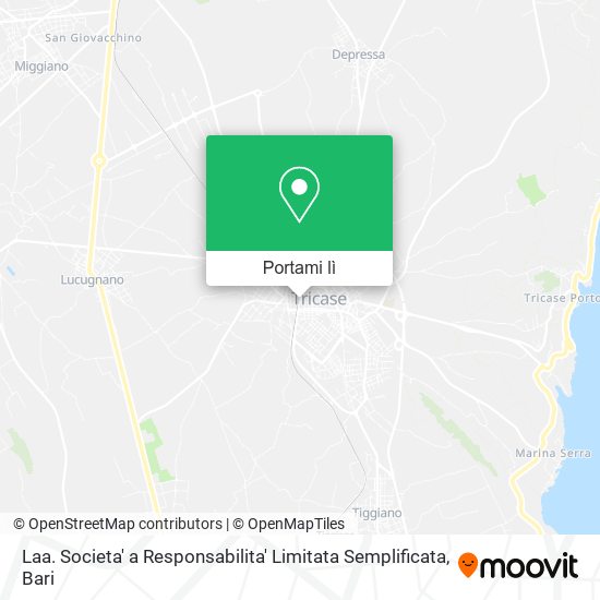 Mappa Laa. Societa' a Responsabilita' Limitata Semplificata