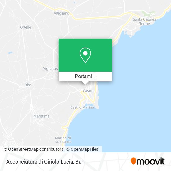 Mappa Acconciature di Ciriolo Lucia