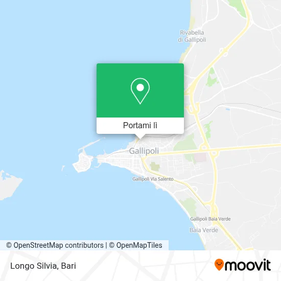 Mappa Longo Silvia