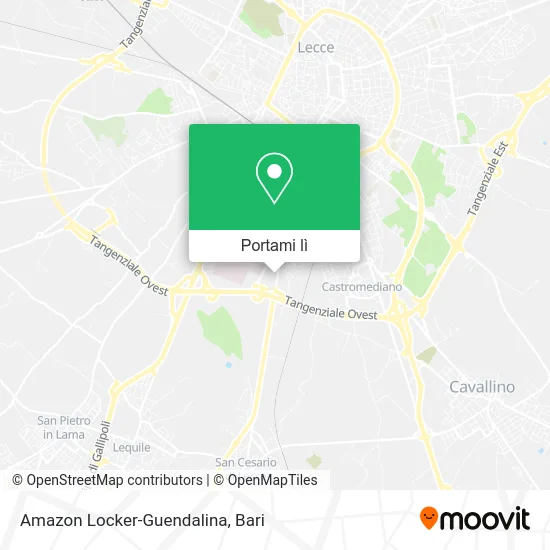 Mappa Amazon Locker-Guendalina