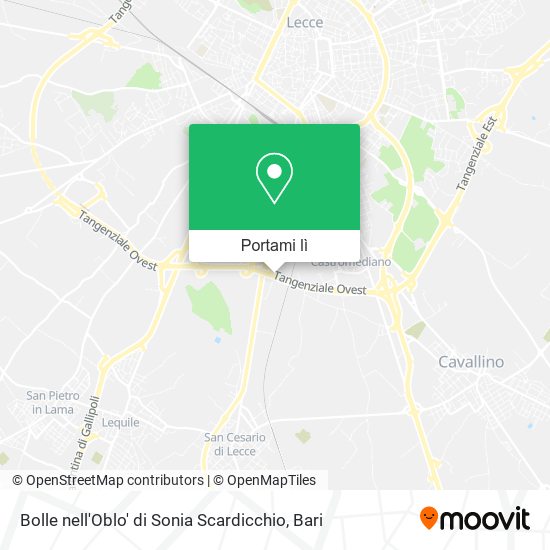 Mappa Bolle nell'Oblo' di Sonia Scardicchio