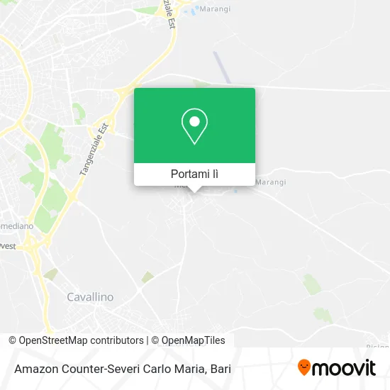 Mappa Amazon Counter-Severi Carlo Maria