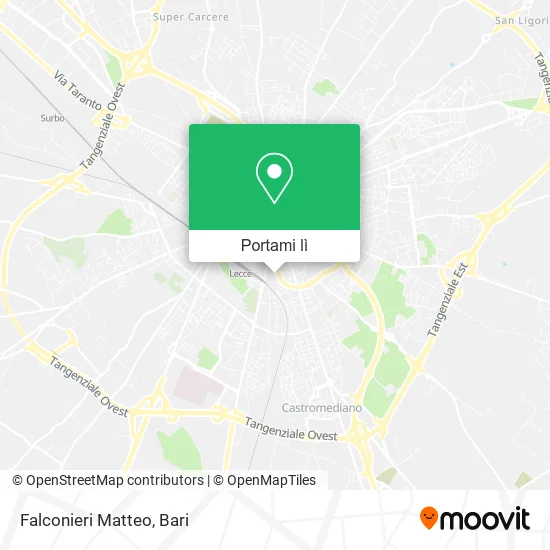 Mappa Falconieri Matteo