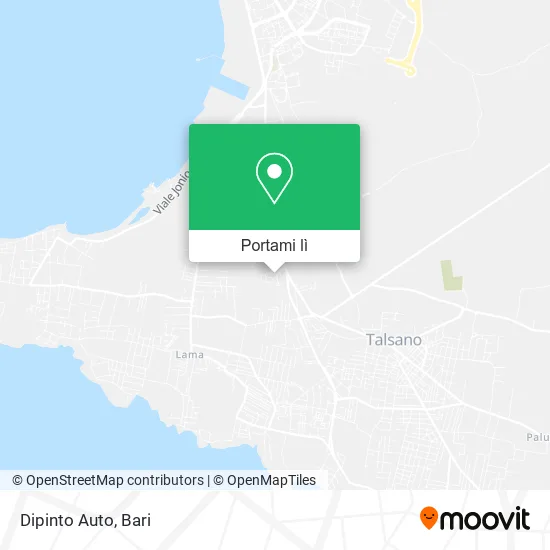 Mappa Dipinto Auto
