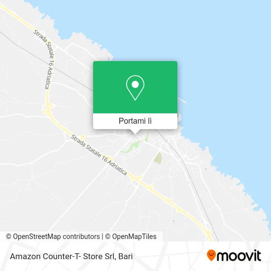 Mappa Amazon Counter-T- Store Srl