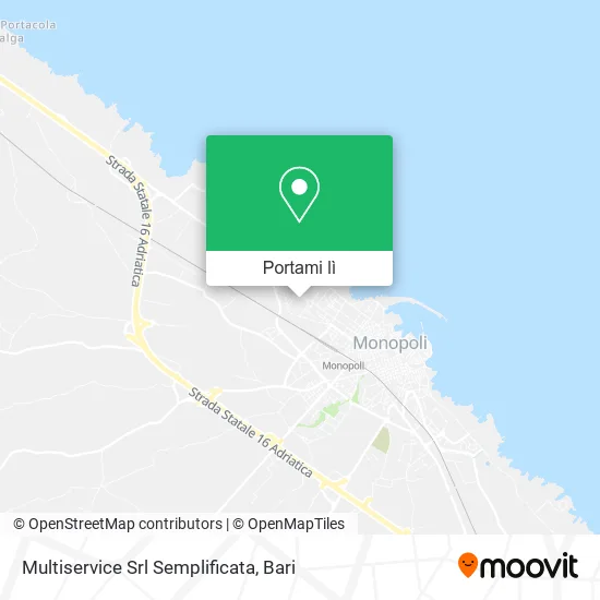 Mappa Multiservice Srl Semplificata