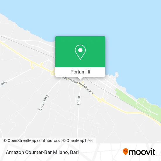 Mappa Amazon Counter-Bar Milano
