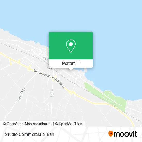 Mappa Studio Commerciale