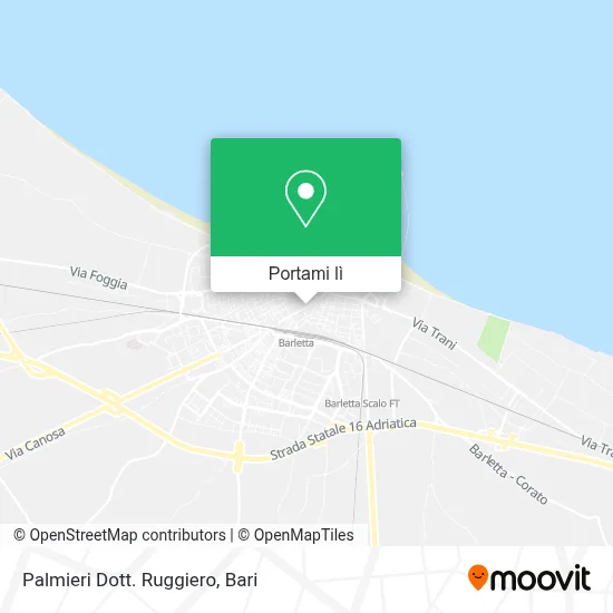 Mappa Palmieri Dott. Ruggiero