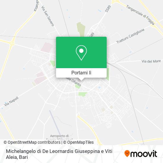 Mappa Michelangelo di De Leornardis Giuseppina e Viti Aleia