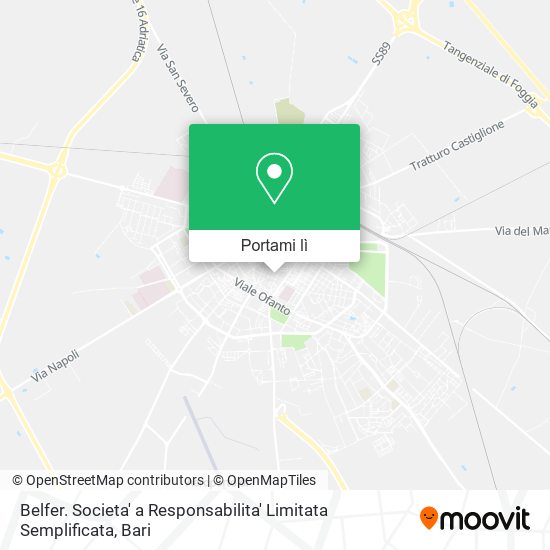 Mappa Belfer. Societa' a Responsabilita' Limitata Semplificata