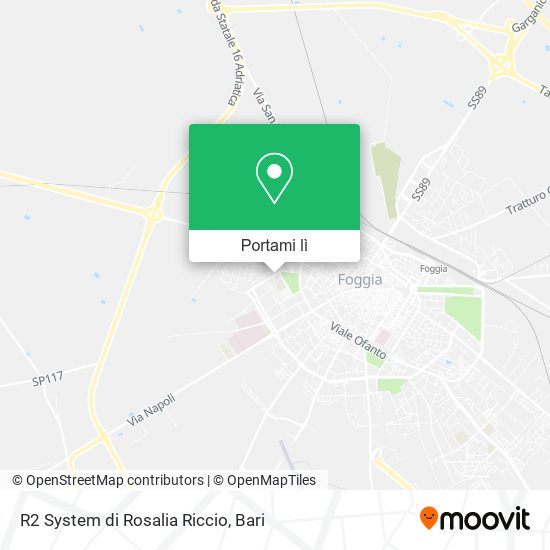 Mappa R2 System di Rosalia Riccio