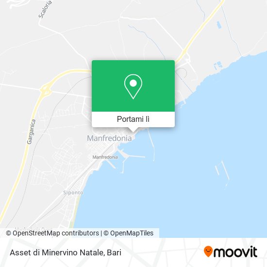 Mappa Asset di Minervino Natale