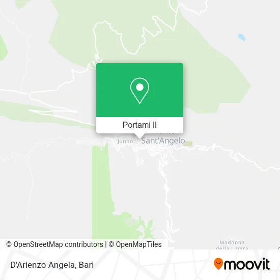 Mappa D'Arienzo Angela