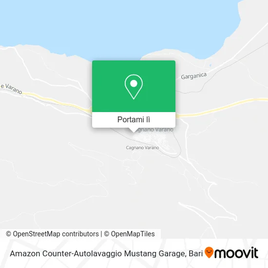 Mappa Amazon Counter-Autolavaggio Mustang Garage