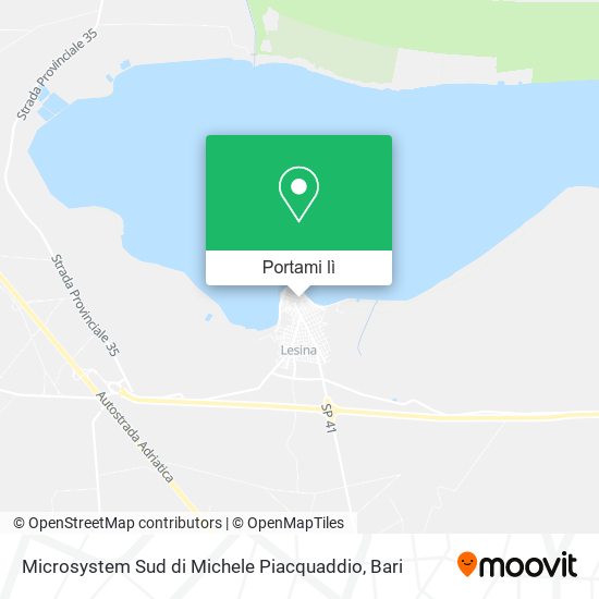Mappa Microsystem Sud di Michele Piacquaddio